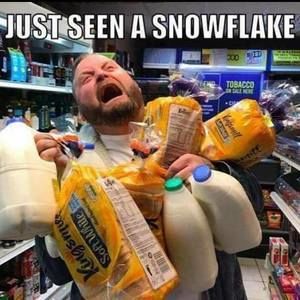 Meet your Posher, Penny